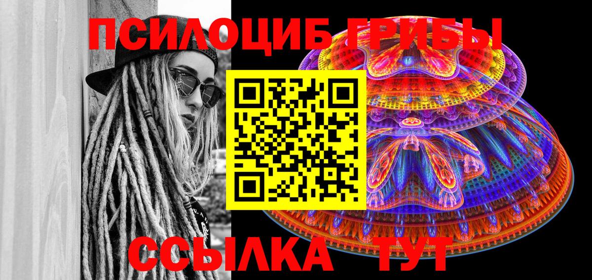 Псилоцибиновые грибы Psilocybine cubensis  Вход с VPN  Старая Русса 